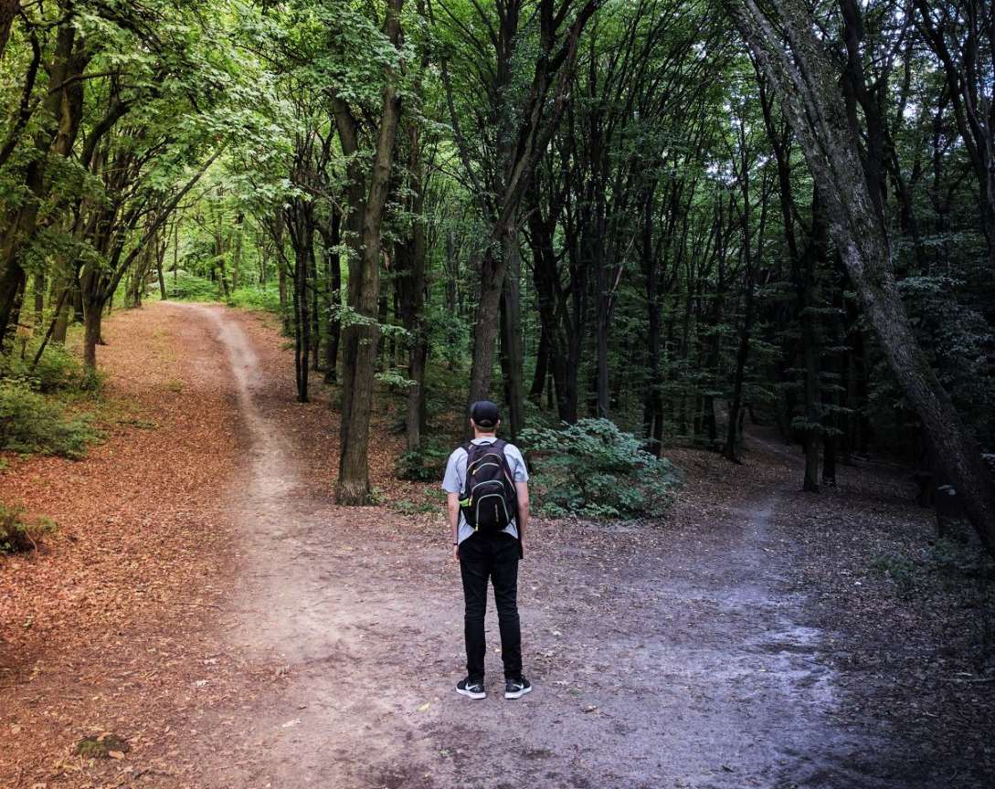 Which Lawn Mowing Franchise Should You Buy?