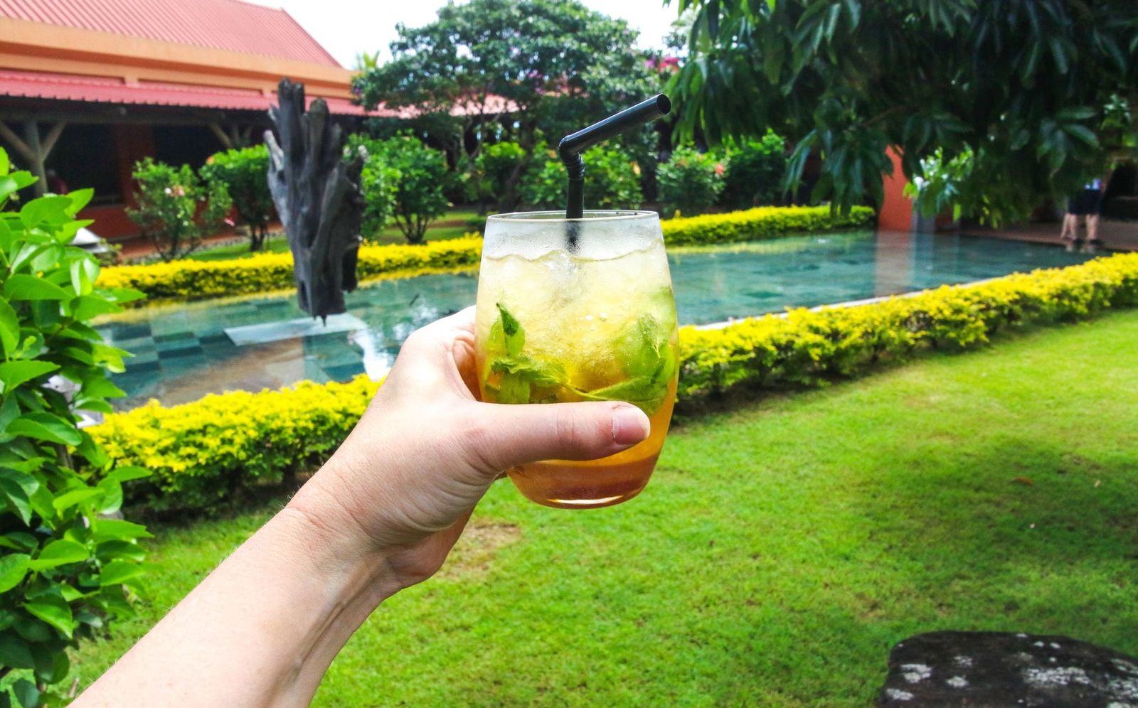 10 Best Garden Gadgets