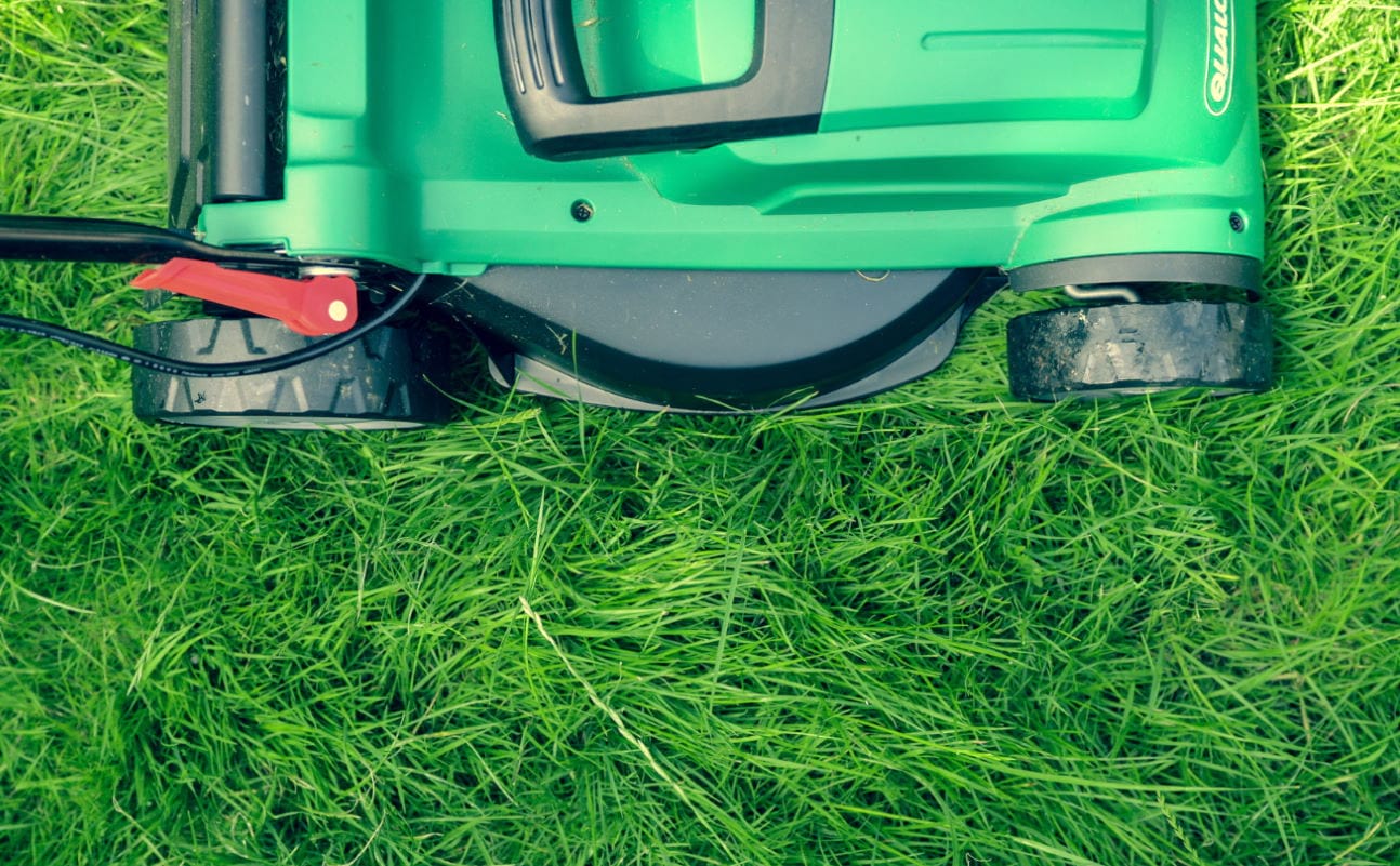 Creating The Perfect Lawn Care Plan