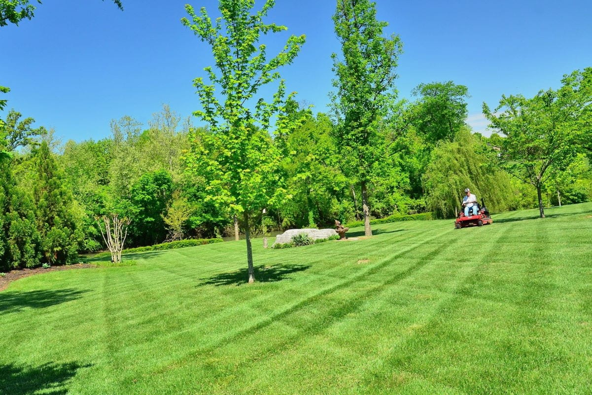 Pros and Cons of Starting a Lawn Mowing Business
