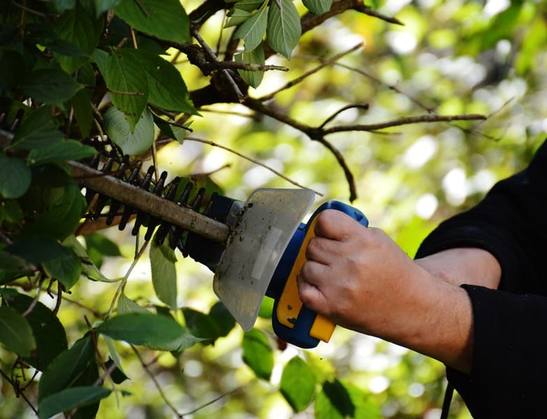 Can You Trim a Hedge Too Much?
