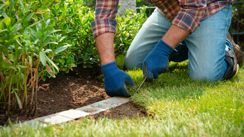 8 Pro Tips for Installing a New Lawn