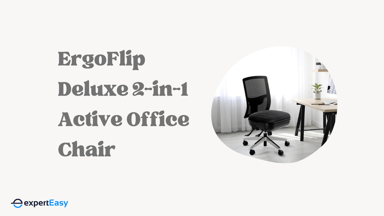 ErgoFlip Deluxe 2-in-1 Active Chair Review