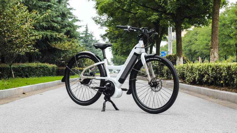 Hub Drive or Mid Drive: Which eBike Motor is Better?