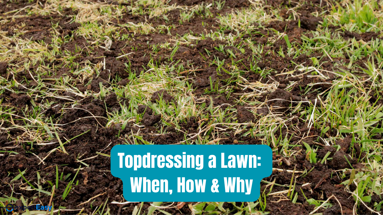 Topdressing a Lawn: Benefits and How to Do It