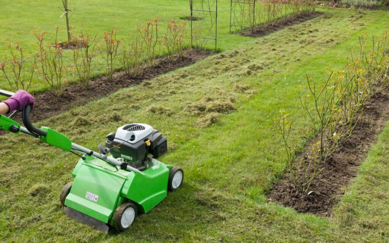 7 Best Lawn Scarifiers in Australia for 2025